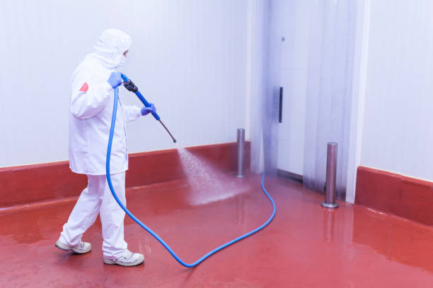 Trusted Acworth, GA Pressure Washing Services Experts